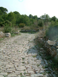 VOIE DOMITIENNE