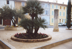 mauguio