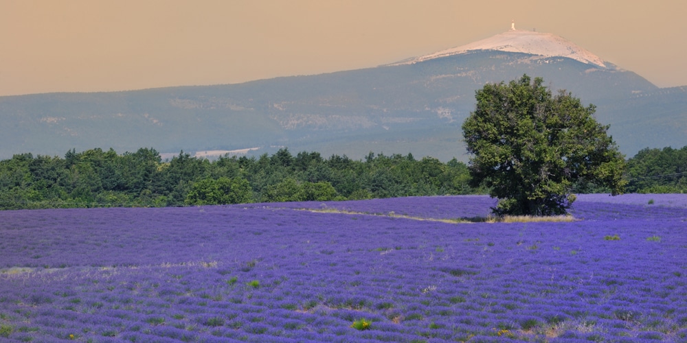 mont-ventoux