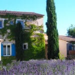 Le clos des lavandes