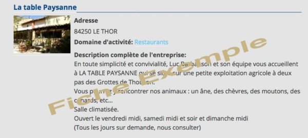 FICHE ANNONCE : HEBERGEMENT, COMMERCES ET ARTISANS, ETC…  avec 7 photos (vous apparaissez en tête des résultats)