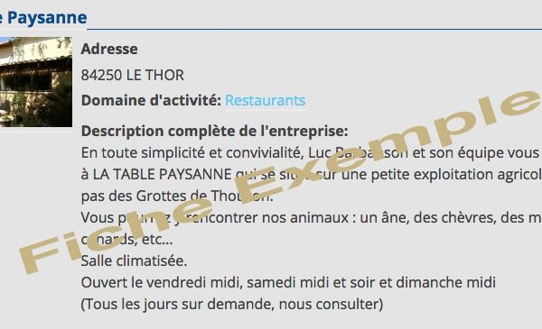 FICHE ANNONCE : HEBERGEMENT, COMMERCES ET ARTISANS, ETC…  avec 7 photos (vous apparaissez en tête des résultats)